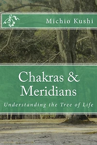 Chakras & Meridians