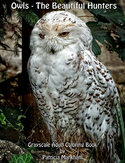 Owls - The Beautiful Hunters: Grayscale Adult Coloring Book