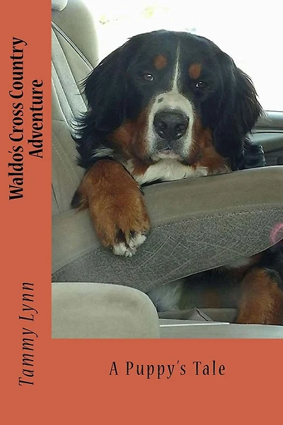 Waldo's Cross Country Adventure: A Puppy's Tale
