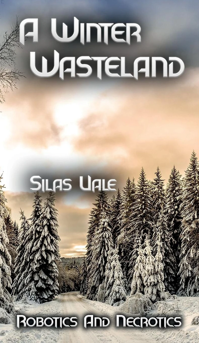 A Winter Wasteland
