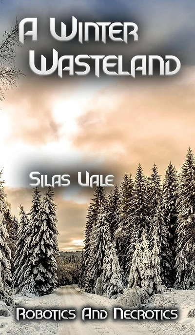 A Winter Wasteland