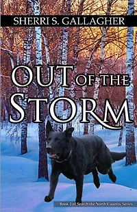 Out of the Storm: Book 2 of Search the North Country Series