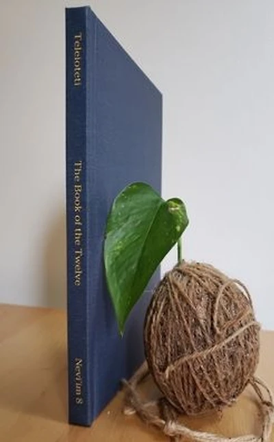 the Book of Twelve: A Journal for Hebrew Scriptures