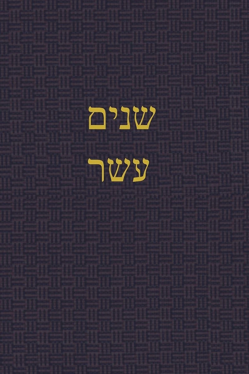the Book of Twelve: A Journal for Hebrew Scriptures