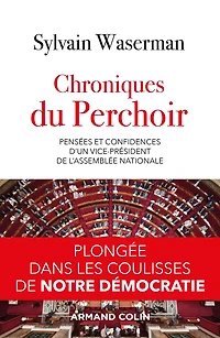 Chroniques du Perchoir: Pensées et confidences d'un vice-président de l'Assemblée nationale