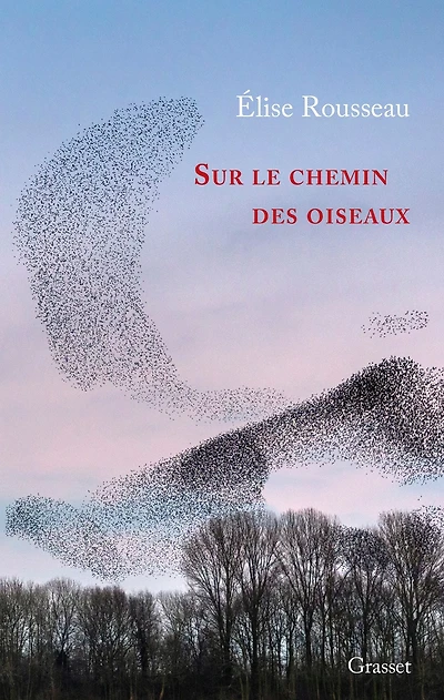 Sur le chemin des oiseaux: Récit