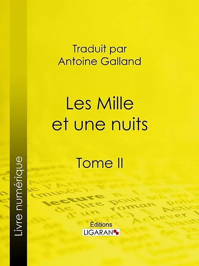 Les Mille et une nuits: Tome II