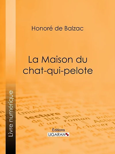 La maison du Chat-qui-pelote