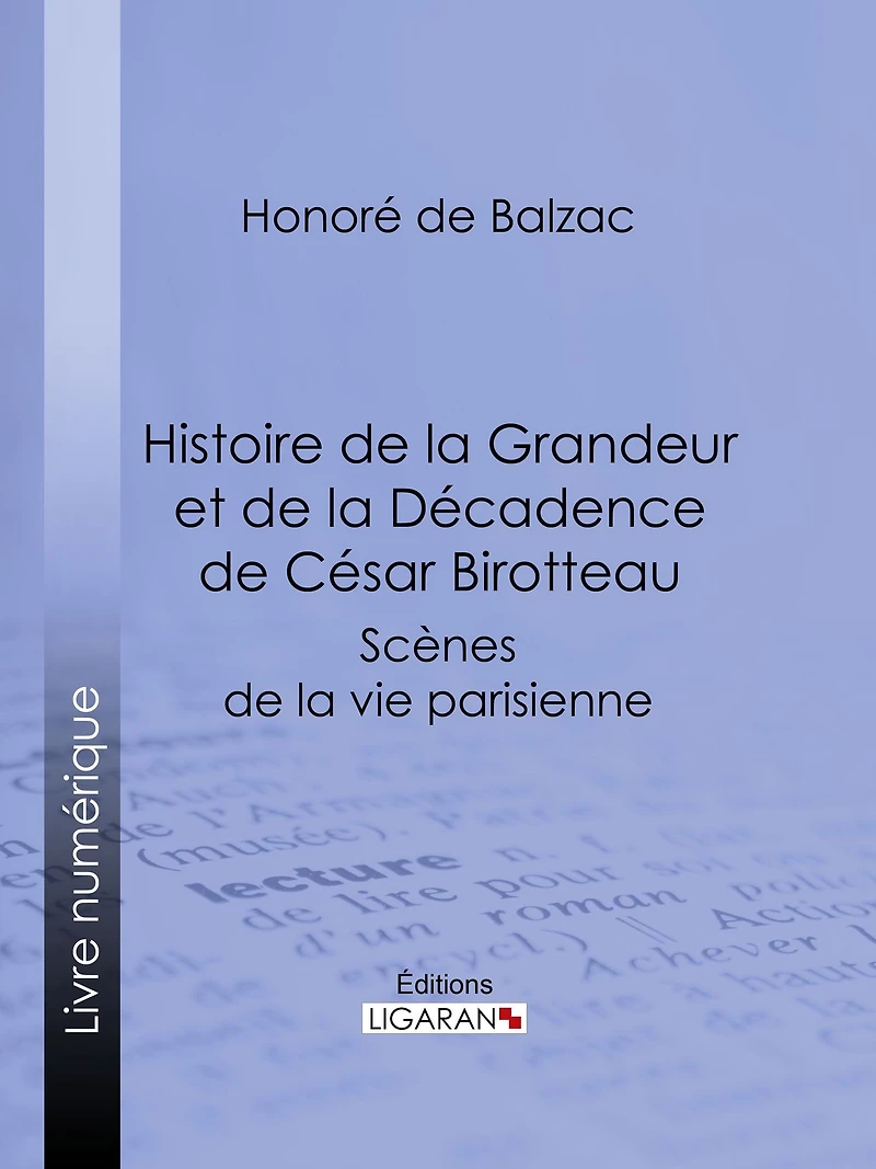 Histoire de la grandeur et de la décadence de César Birotteau