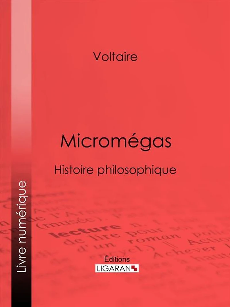 Micromégas: Histoire philosophique