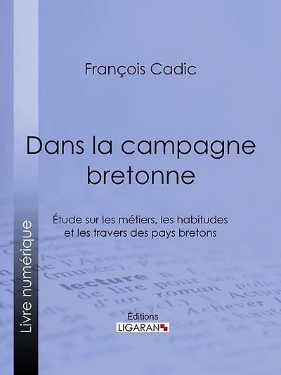 Dans la campagne bretonne: Étude sur les métiers, les habitudes et les travers des pays bretons