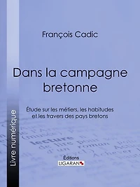 Dans la campagne bretonne: Étude sur les métiers, les habitudes et les travers des pays bretons