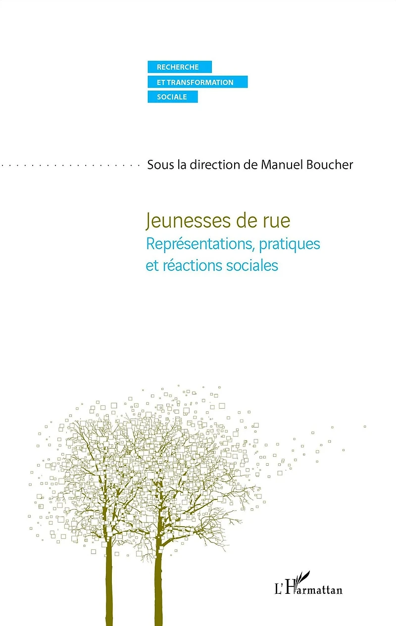 Jeunesses de rue: Représentations, pratiques et réactions sociales
