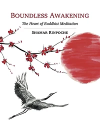 Boundless Awakening: The Heart of Buddhist Meditation