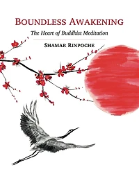 Boundless Awakening: The Heart of Buddhist Meditation