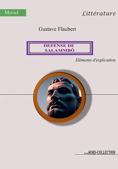Défense de Salammbô: Éléments d'explication