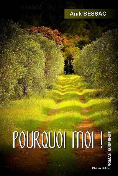 Pourquoi moi !: Roman