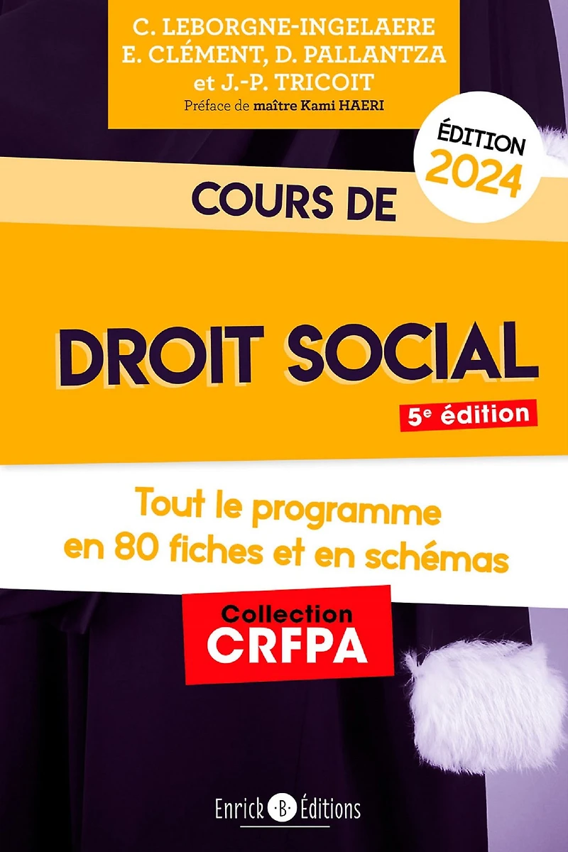 Cours de droit social 2024: Tout le programme en fiches et en schémas