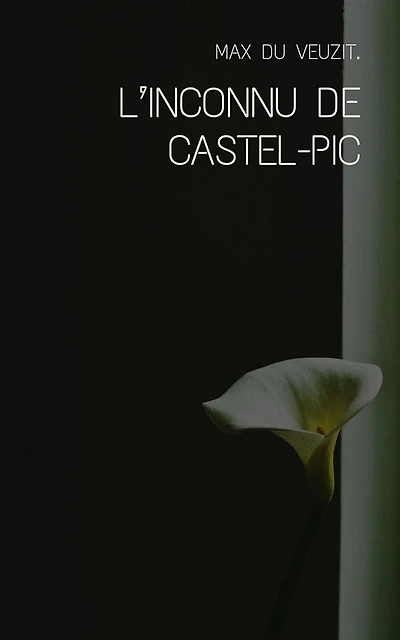 L'inconnu de Castel-Pic
