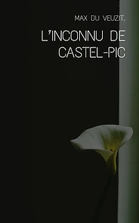 L'inconnu de Castel-Pic