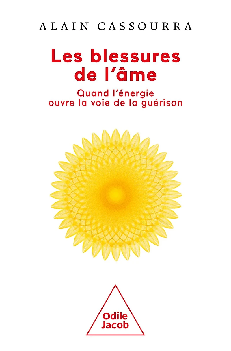 Les Blessures de l'âme: Quand l'énergie ouvre la voie de la guérison