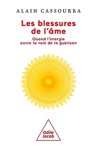 Les Blessures de l'âme: Quand l'énergie ouvre la voie de la guérison