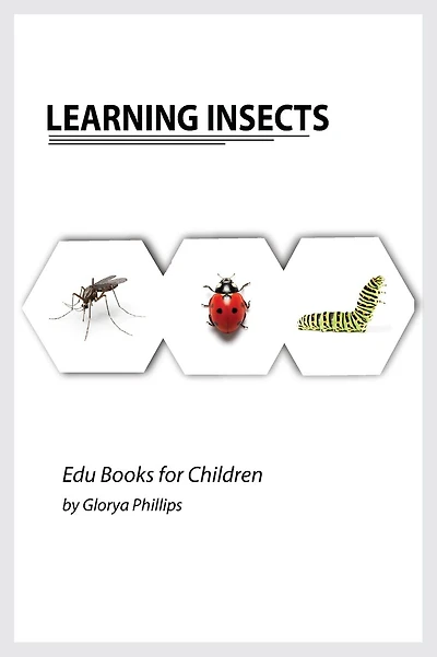 Learning Insects: Montessori real insects book for babies and toddlers, bits of intelligence for baby and toddler, children's book, learning resources.