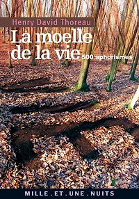 La Moelle de la vie: 500 Aphorismes