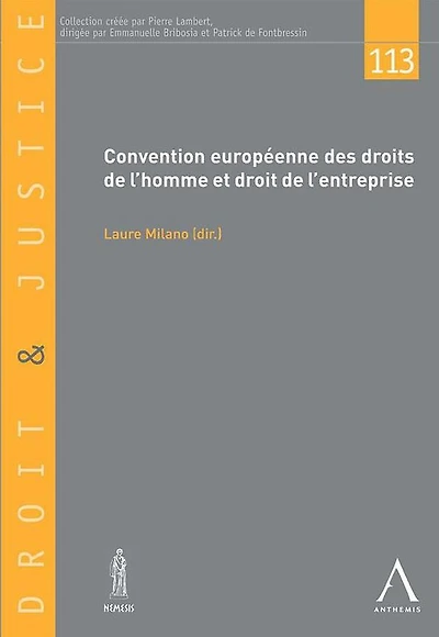 Convention européenne des droits de l'homme et droit de l'entreprise: Droit européen