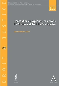 Convention européenne des droits de l'homme et droit de l'entreprise: Droit européen