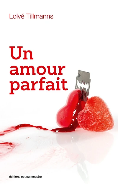 Un amour parfait: Une romance singulière