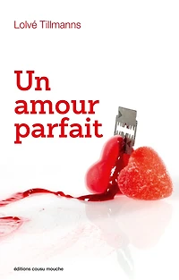 Un amour parfait: Une romance singulière