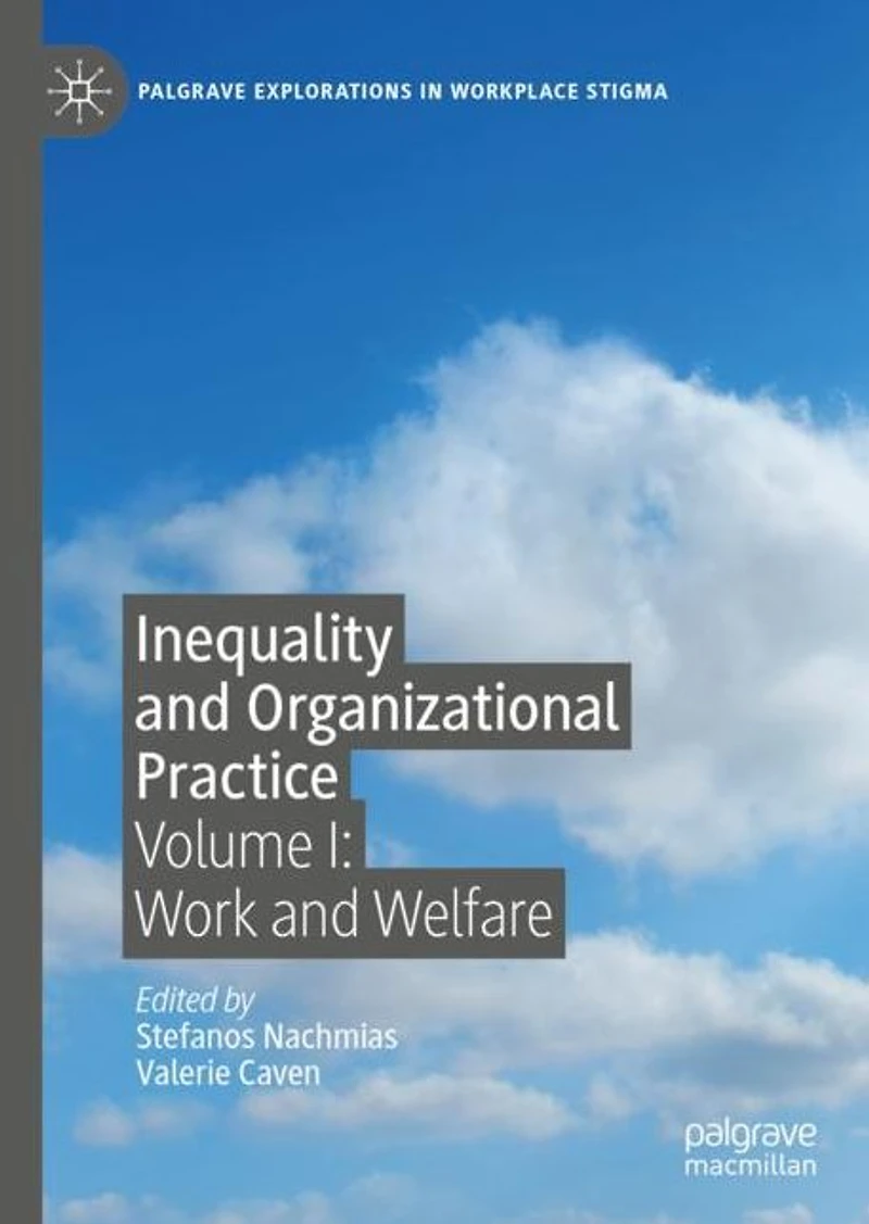 Inequality and Organizational Practice: Volume I: Work Welfare