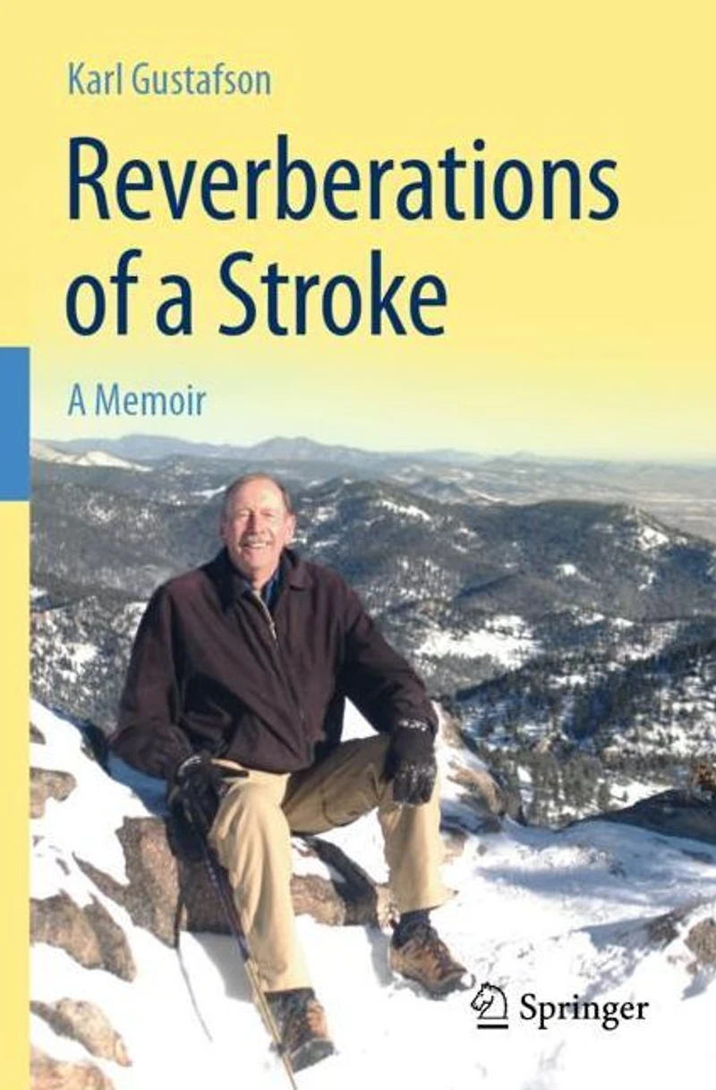 Reverberations of A Stroke: Memoir