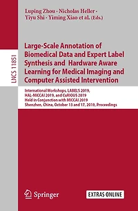 Large-Scale Annotation of Biomedical Data and Expert Label Synthesis and Hardware Aware Learning for Medical Imaging and Computer Assisted Intervention: International Workshops, LABELS 2019, HAL-MICCAI 2019, and CuRIOUS 2019, Held in Conjunction with MICC