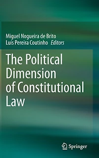 The Political Dimension of Constitutional Law