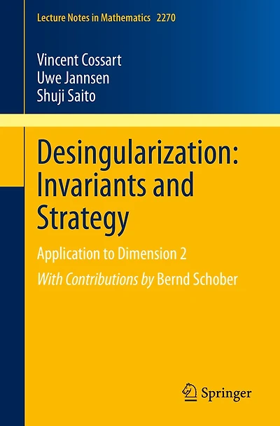Desingularization: Invariants and Strategy: Application to Dimension 2
