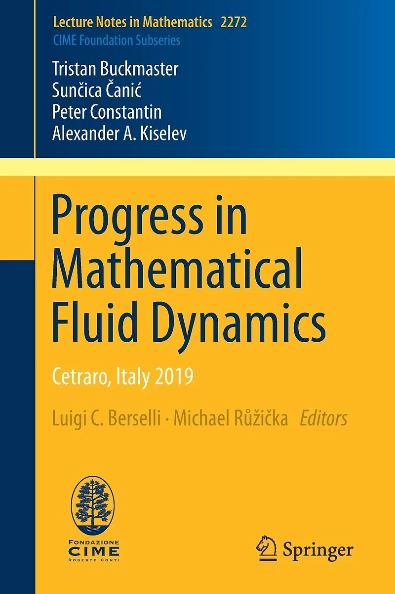 Progress Mathematical Fluid Dynamics: Cetraro, Italy 2019