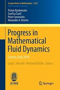 Progress Mathematical Fluid Dynamics: Cetraro, Italy 2019