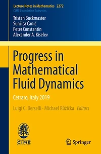 Progress Mathematical Fluid Dynamics: Cetraro, Italy 2019