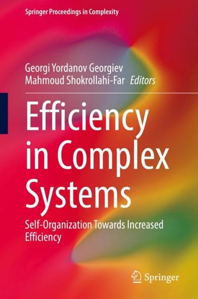 Efficiency Complex Systems: Self-Organization Towards Increased
