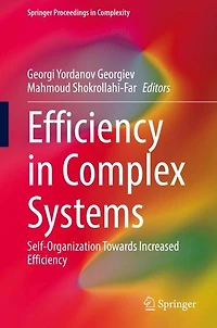 Efficiency Complex Systems: Self-Organization Towards Increased