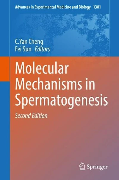 Molecular Mechanisms Spermatogenesis