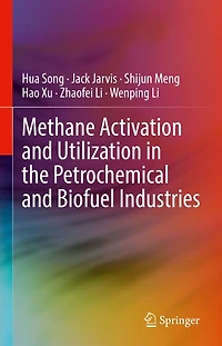 Methane Activation and Utilization the Petrochemical Biofuel Industries