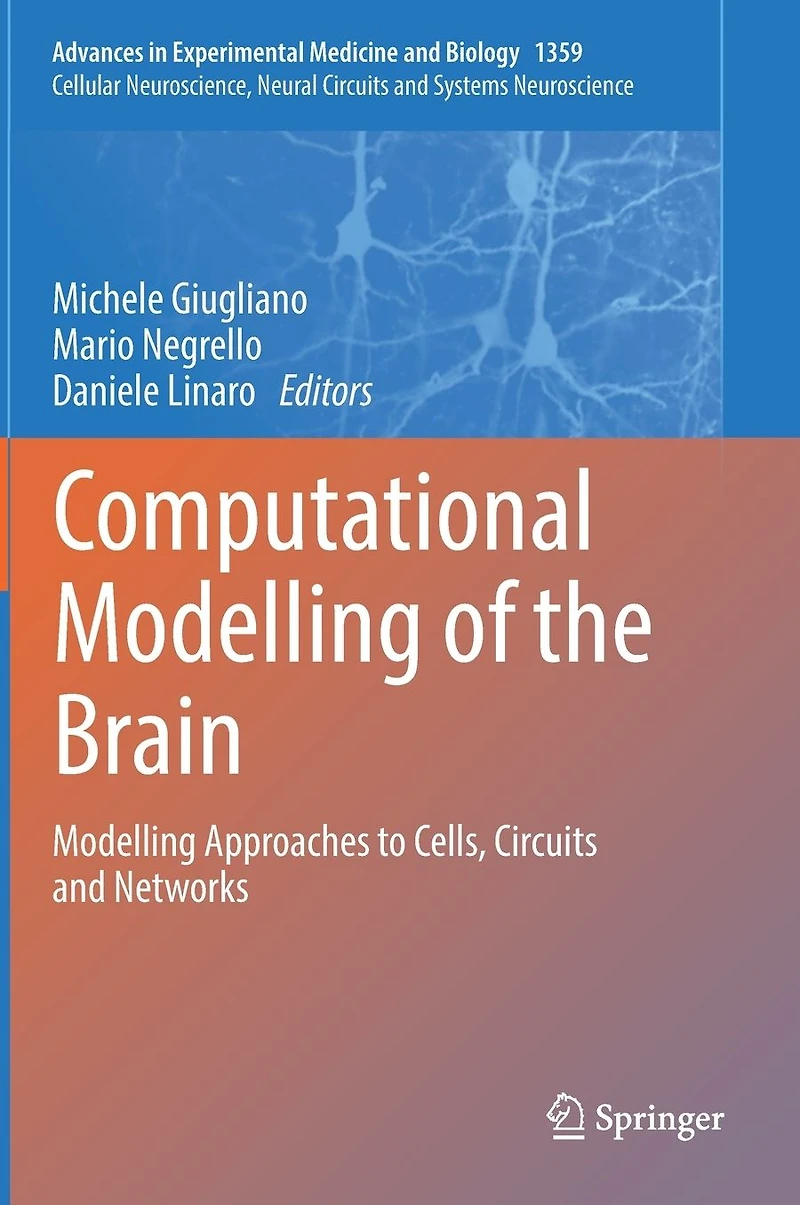 Computational Modelling of the Brain: Approaches to Cells, Circuits and Networks