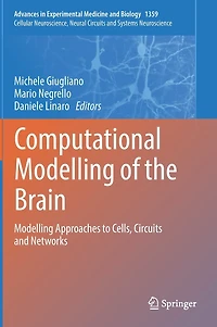 Computational Modelling of the Brain: Approaches to Cells, Circuits and Networks