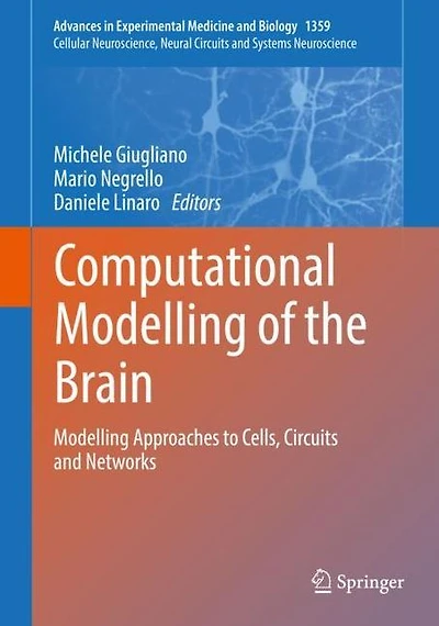 Computational Modelling of the Brain: Approaches to Cells, Circuits and Networks