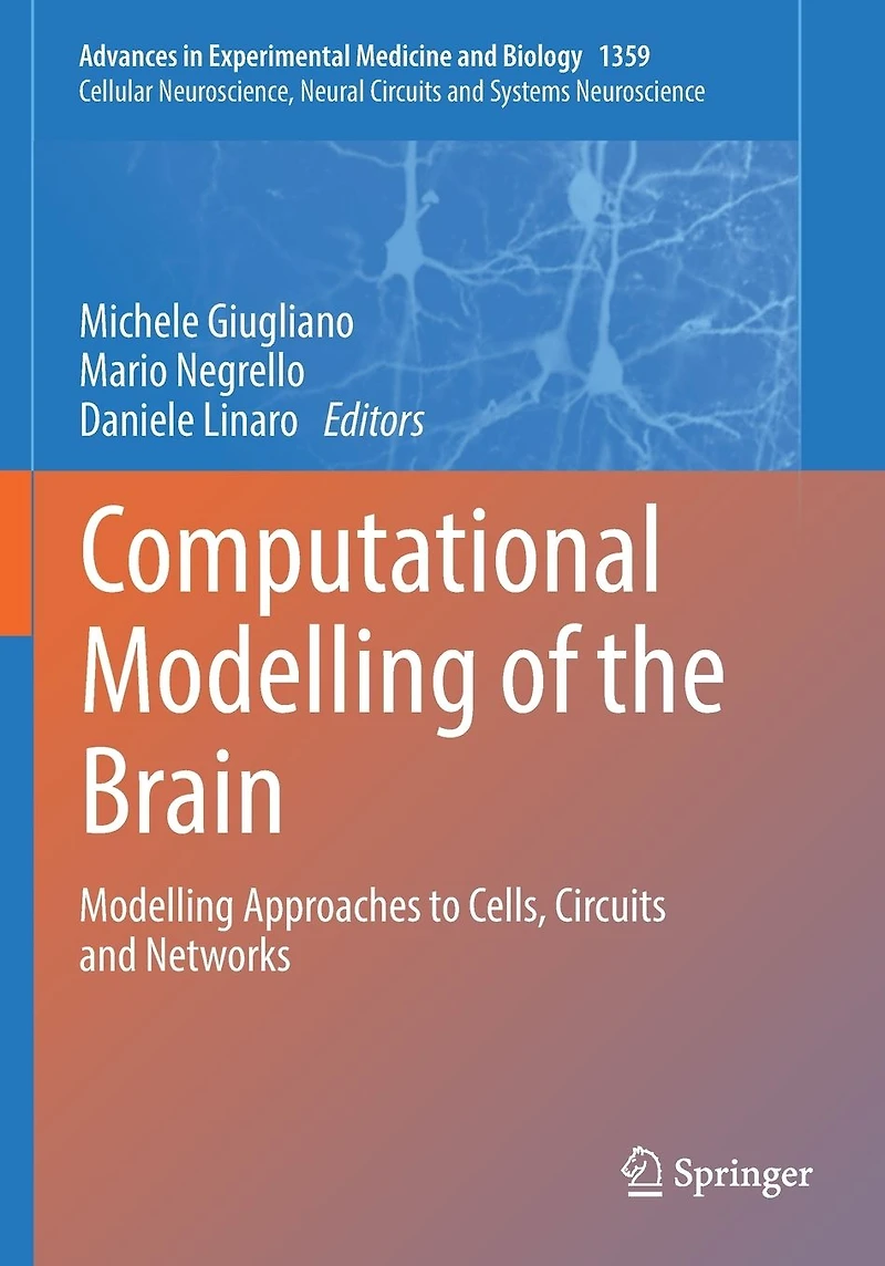 Computational Modelling of the Brain: Approaches to Cells, Circuits and Networks