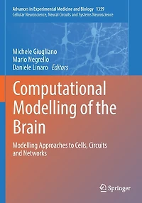 Computational Modelling of the Brain: Approaches to Cells, Circuits and Networks