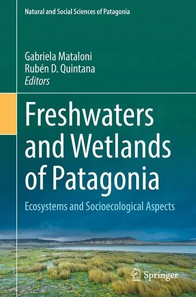 Freshwaters and Wetlands of Patagonia: Ecosystems Socioecological Aspects